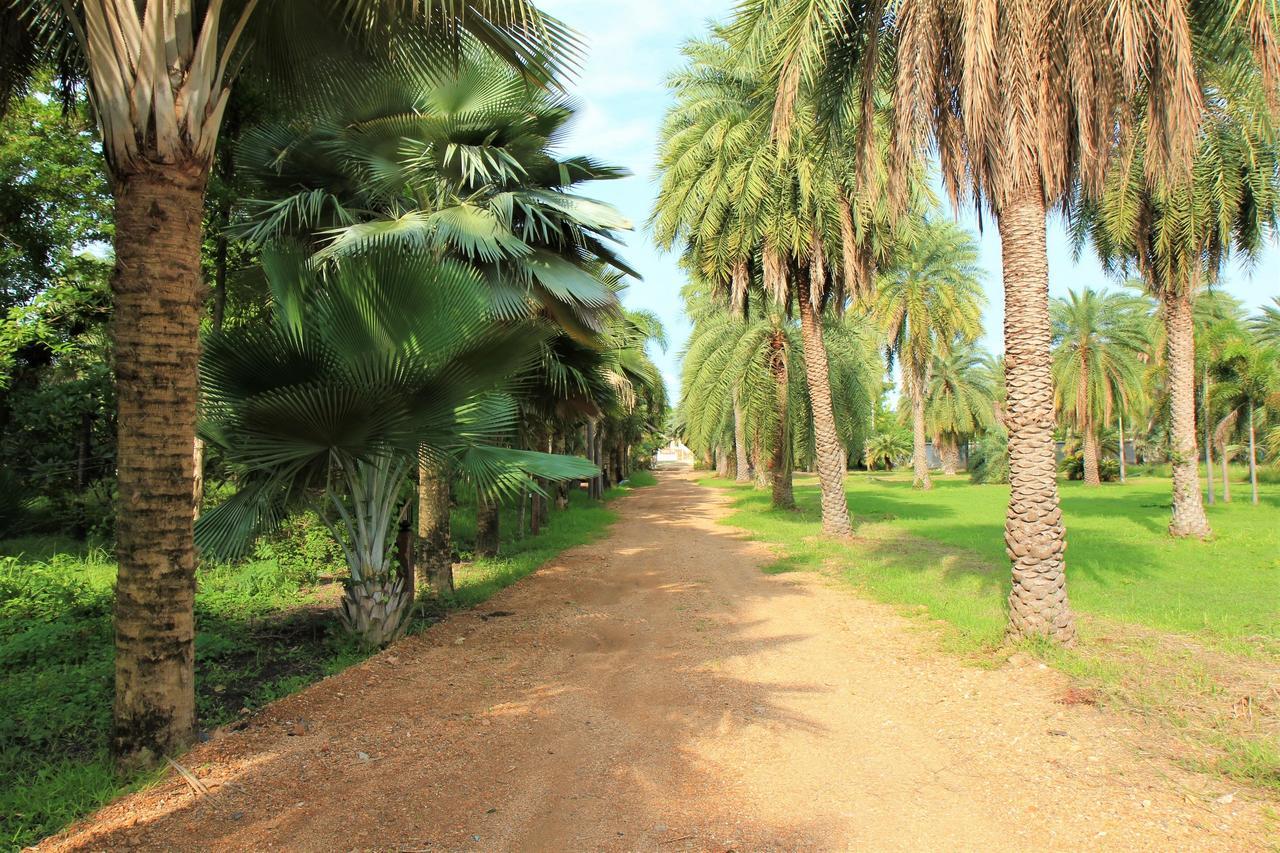 Lopburi Palm Resort Eksteriør billede