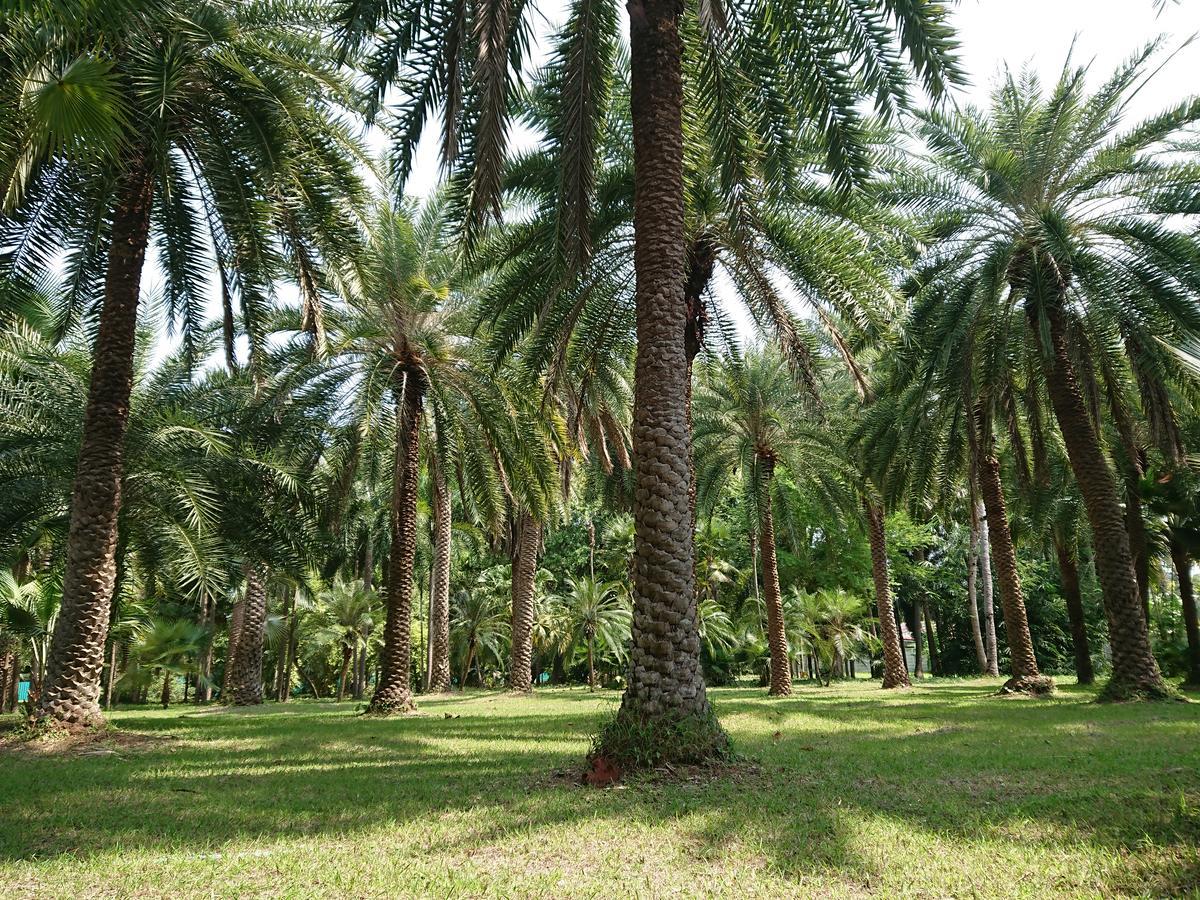Lopburi Palm Resort Eksteriør billede